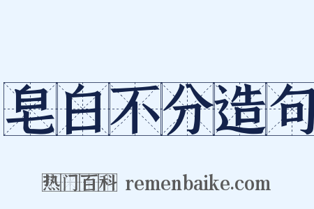 皂白不分造句是什么意思的图片